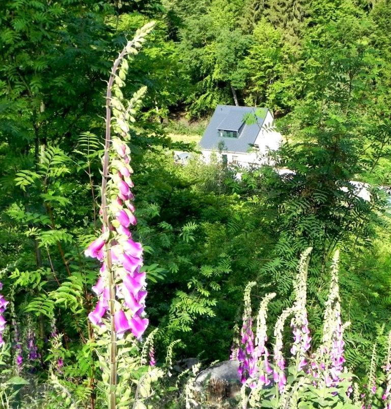 Ferienhaus Buschmuehle - Stolpen Kültér fotó