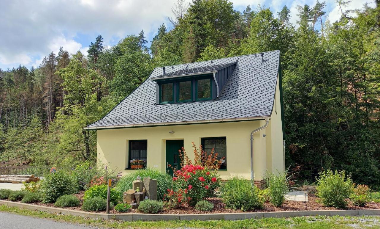 Ferienhaus Buschmuehle - Stolpen Kültér fotó