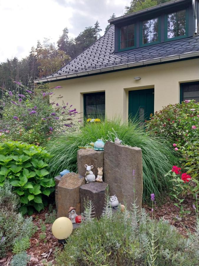 Ferienhaus Buschmuehle - Stolpen Kültér fotó